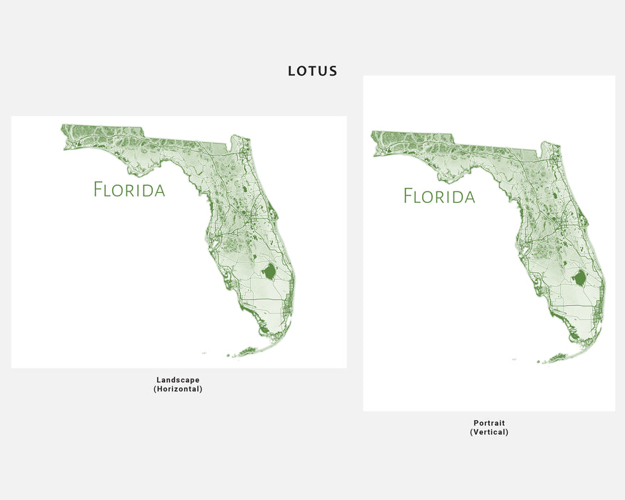 Florida State Map Wall Print Poster with Topographic Contour Line Art and Main Roads