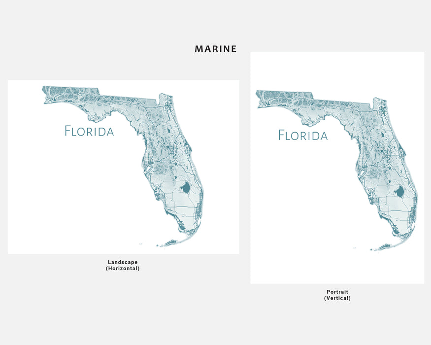 Florida State Map Wall Print Poster with Topographic Contour Line Art and Main Roads